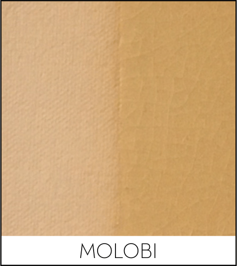 This image has an empty alt attribute; its file name is molobi.png