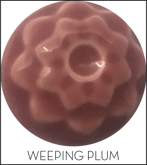 This image has an empty alt attribute; its file name is weeping-plum.png