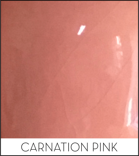 This image has an empty alt attribute; its file name is carnation-pink.png