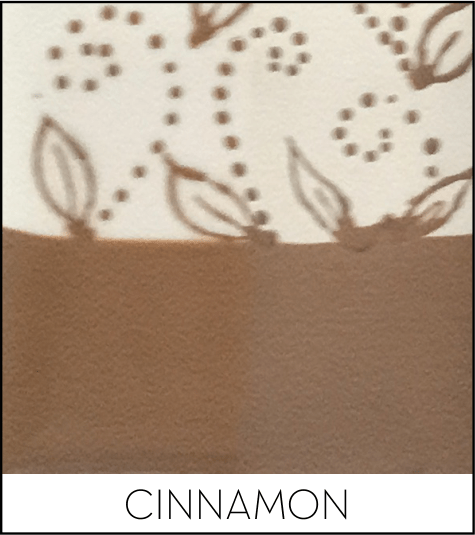 This image has an empty alt attribute; its file name is cinnamon.png