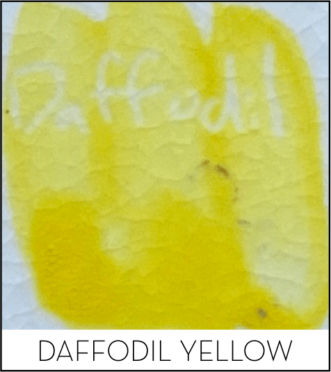 This image has an empty alt attribute; its file name is daffodil-yellow.png