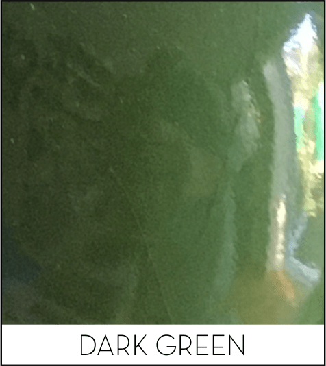 This image has an empty alt attribute; its file name is dark-green.png