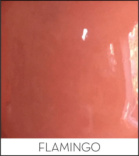 This image has an empty alt attribute; its file name is flamingo.png