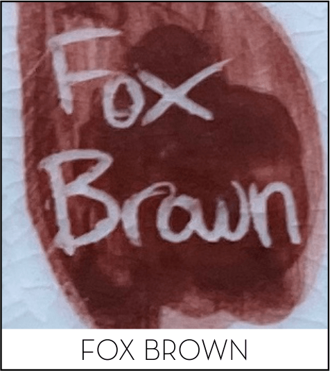 This image has an empty alt attribute; its file name is fox-brown.png