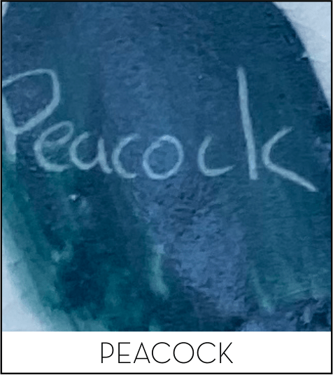 This image has an empty alt attribute; its file name is peacock.png