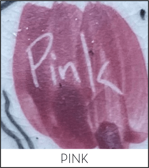 This image has an empty alt attribute; its file name is pink-1.png