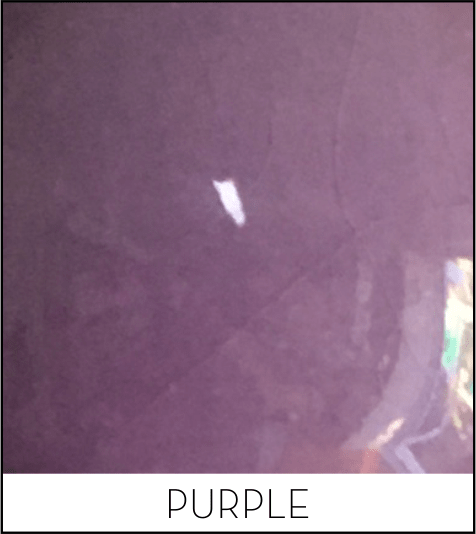 This image has an empty alt attribute; its file name is purple-1.png