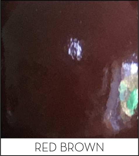 This image has an empty alt attribute; its file name is red-brown.png