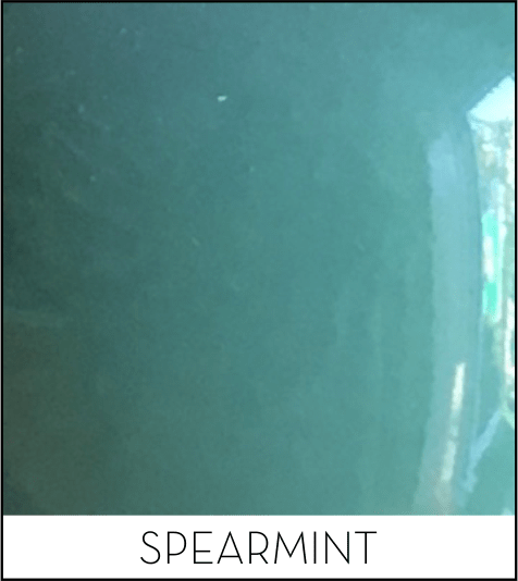 This image has an empty alt attribute; its file name is spearmint.png