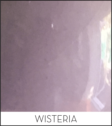 This image has an empty alt attribute; its file name is wisteria.png