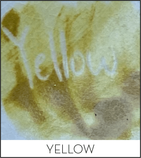 This image has an empty alt attribute; its file name is yellow-1.png